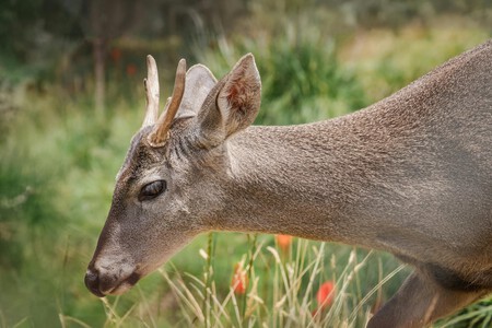 Pexels Gilmerdiaz 29102149