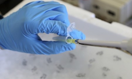 Reprogramar células del cáncer es posible gracias a este código