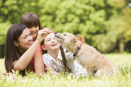 "Mamá, ¿podemos tener un perrito o un gatito?": ventajas e inconvenientes de tener animales en casa, según mi experiencia