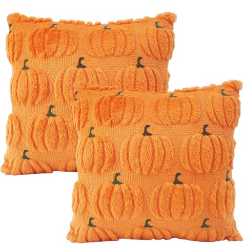 Bhina 2 Piezas 45x45 cm Fundas cojín Calabaza