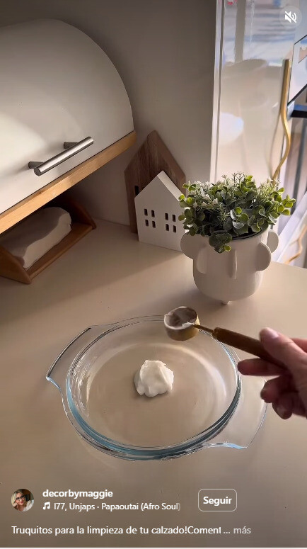 limpiar zapatillas