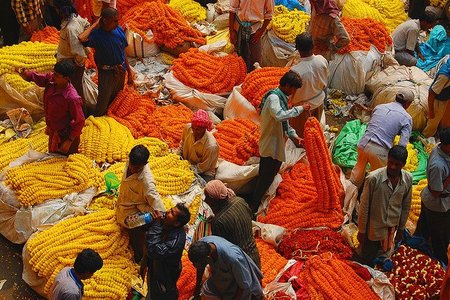 El mercado de las flores de Kolkata