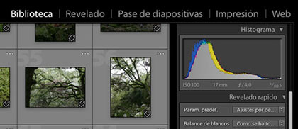 Traduce Lightroom al Español