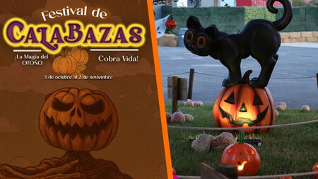 Prepárate para el Festival de calabazas 2025 en el Parque Bicentenario: fechas, costos y actividades para asistir