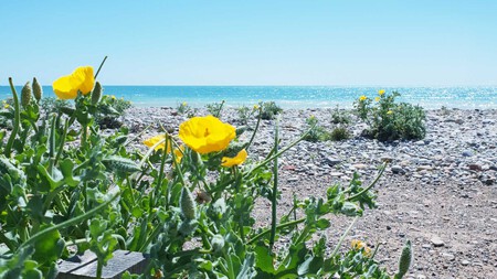 Pueblo Pesquero Bonito Castellon Valencia Sin Turistas