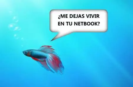 Windows 7 ネットブック