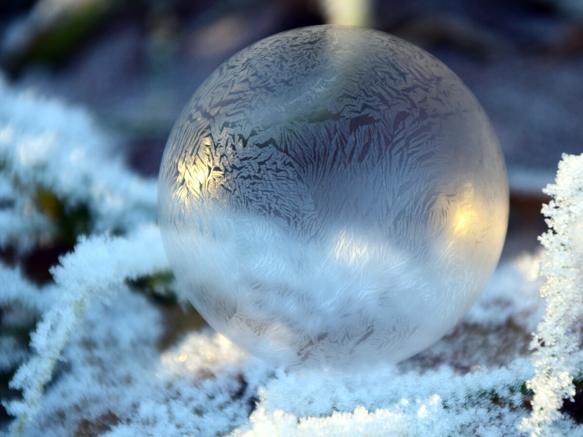 Bitcoin sigue la fiesta alcista en solitario: otro indicador que apunta a  burbuja