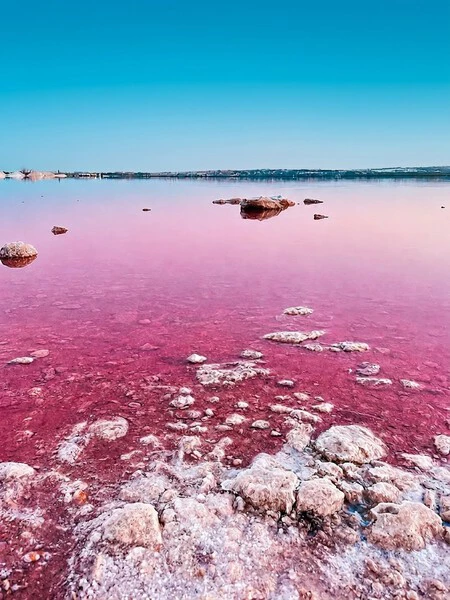 El Refugio De Terelu Campos Para Disfrutar Del Verano Arroz Con Marisco Playas Tranquilas Y Mucha Calma Marinera