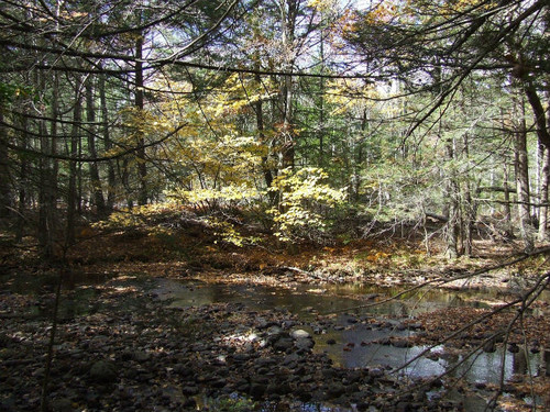 New Haven y Storrs, dos puntos imprescindibles si vas a Conneticut