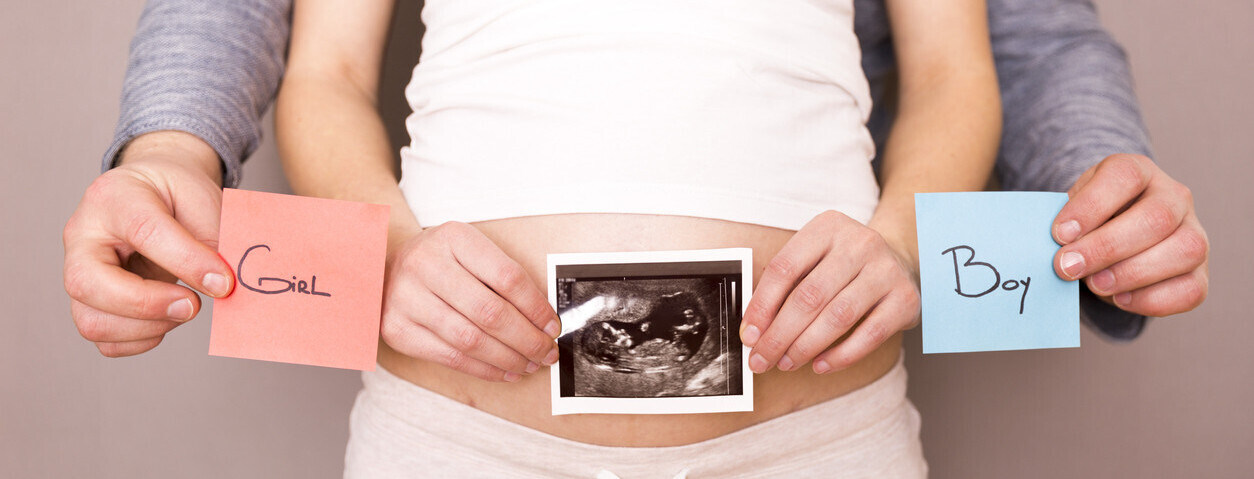 Estoy Embarazada Cuando Podre Saber El Sexo De Mi Bebe