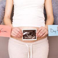 Estoy embarazada, ¿cuándo podré saber el sexo de mi bebé?