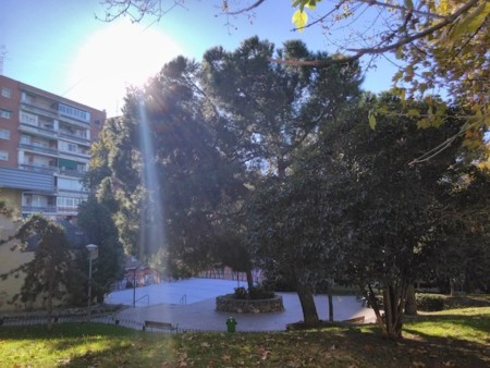 Fotografía hecha con Orange Yumo, modo HDR