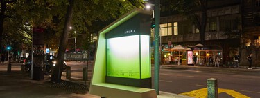 Belgrado está experimentando con el futuro de las ciudades y de la vegetación: "árboles líquidos" para limpiar el aire