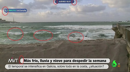 Img 20240314 133813energy Nitidez