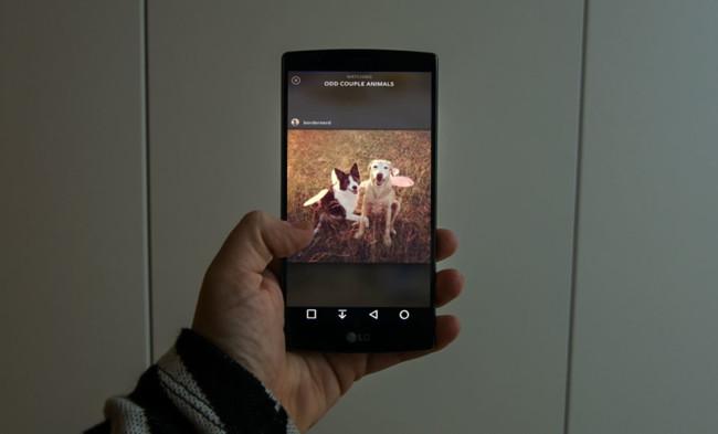 Instagram Spotlight Compilations