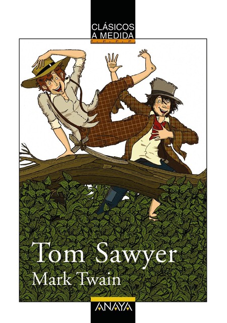 tom-sawyer