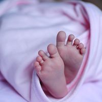 El científico que creó los primeros bebés modificados genéticamente actuó ilegalmente, según una investigación
