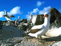 Una nueva tasa para visitar las Islas Galápagos