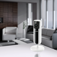 Panasonic aumenta su catálogo de cámaras de vigilancia para el hogar con la Panasonic KX-HNC800