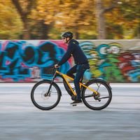 El futuro de la movilidad en España para la bicicleta eléctrica: un 40% de los encuestados la utilizaría