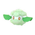 Cottonee