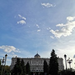 Foto 28 de 45 de la galería fotos-mate-20-mes-de-uso en Xataka