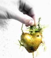 Verduras en la alimentación infantil: patata y batata