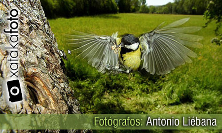 Fotógrafos: Antonio Liébana