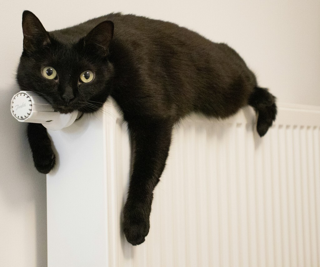 Da igual que pongas la calefacción a tope. Estos pequeños detalles hacen que el gasto se dispare pero sigas pasando frío 
