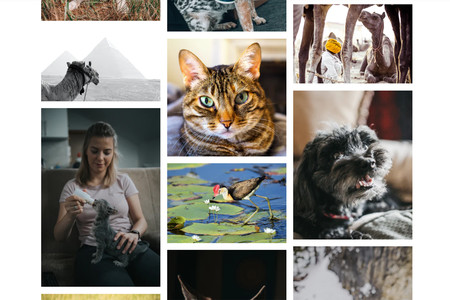 Unsplash libera más de dos millones de imágenes bajo una licencia no comercial para el entrenamiento de redes neuronales