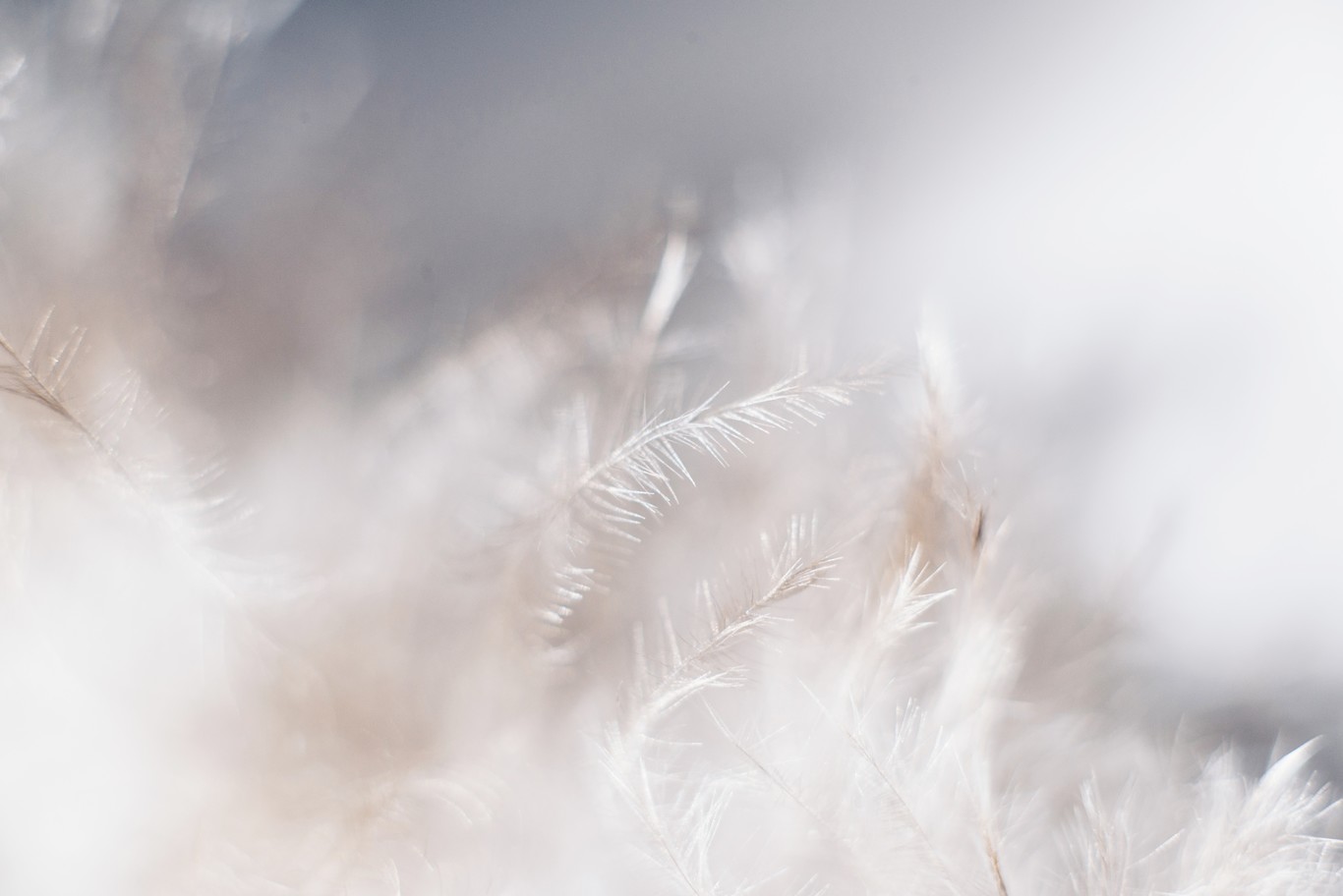 Evie Shaffer 505136 Unsplash