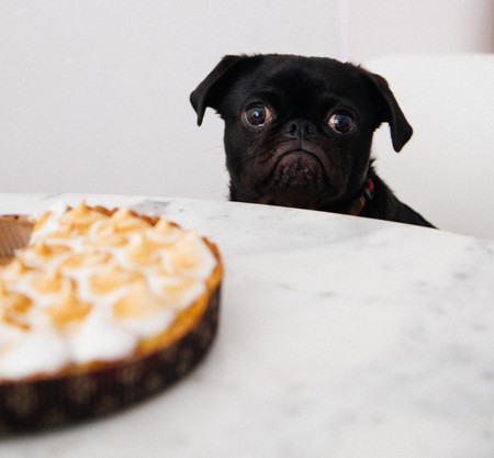 Siete razones para no hacer dieta este 2019