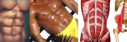 ¿Debo seguir un orden para entrenar los abdominales?