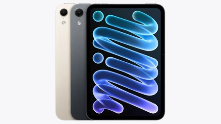 Ipad Mini 8