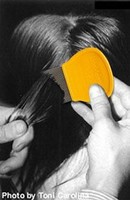 Los piojos también empiezan el curso