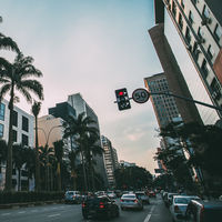 Bolsonaro quiere eliminar los radares de velocidad en Brasil y "devolver al pueblo el placer de conducir"