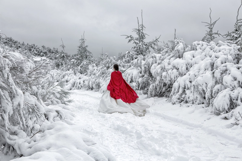 Foto de Snow Wedding-Adolfo Enríquez (1/4)