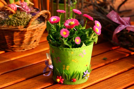 Nature Plant Flower Decoration Spring Garden 720315 Pxhere Com