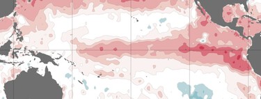 There is a one-third chance that El Niño will be "historically strong". 2024 points to unprecedented extreme heat 