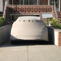 Com vendas baixas, Elon Musk parece ter encontrado solução para salvar a Tesla 