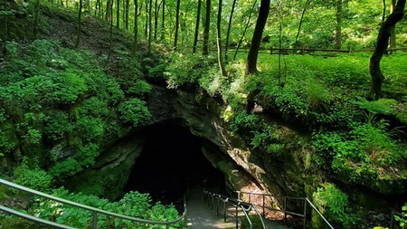 Mammoth Cave 2025