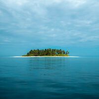 Un hombre compró una isla desierta en 1962: plantó 16,000 árboles y la volvió un santuario anti-ricos 