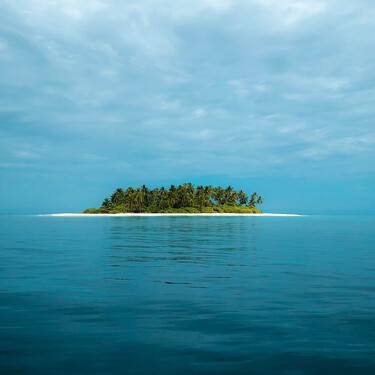 Un hombre compró una isla desierta en 1962: plantó 16,000 árboles y la volvió un santuario anti-ricos 