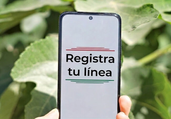 Registro Lineas Mexico