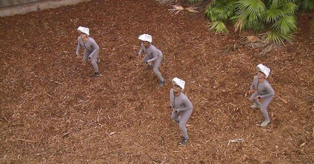 Raptors Cgi