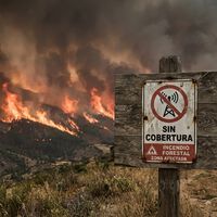 Starlink ofrece conectividad gratis a los afectados por los incendios de Madrid: “Los teléfonos se conectarán automáticamente” 