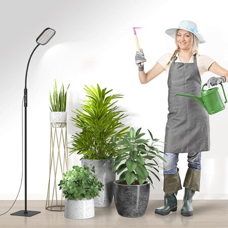 plantas