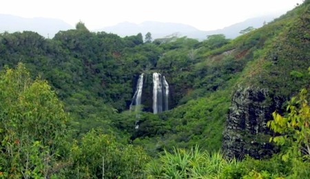 Kauai es la isla verde más bonita de Hawai: vídeos inspiradores