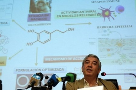 Un compuesto que se extrae del olivo podría actuar contra el virus del sida