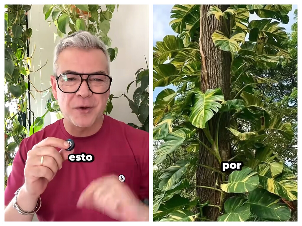 Fuera tópicos: estas son las verdaderas necesidades de los potos para que no vivan “en modo supervivencia”
